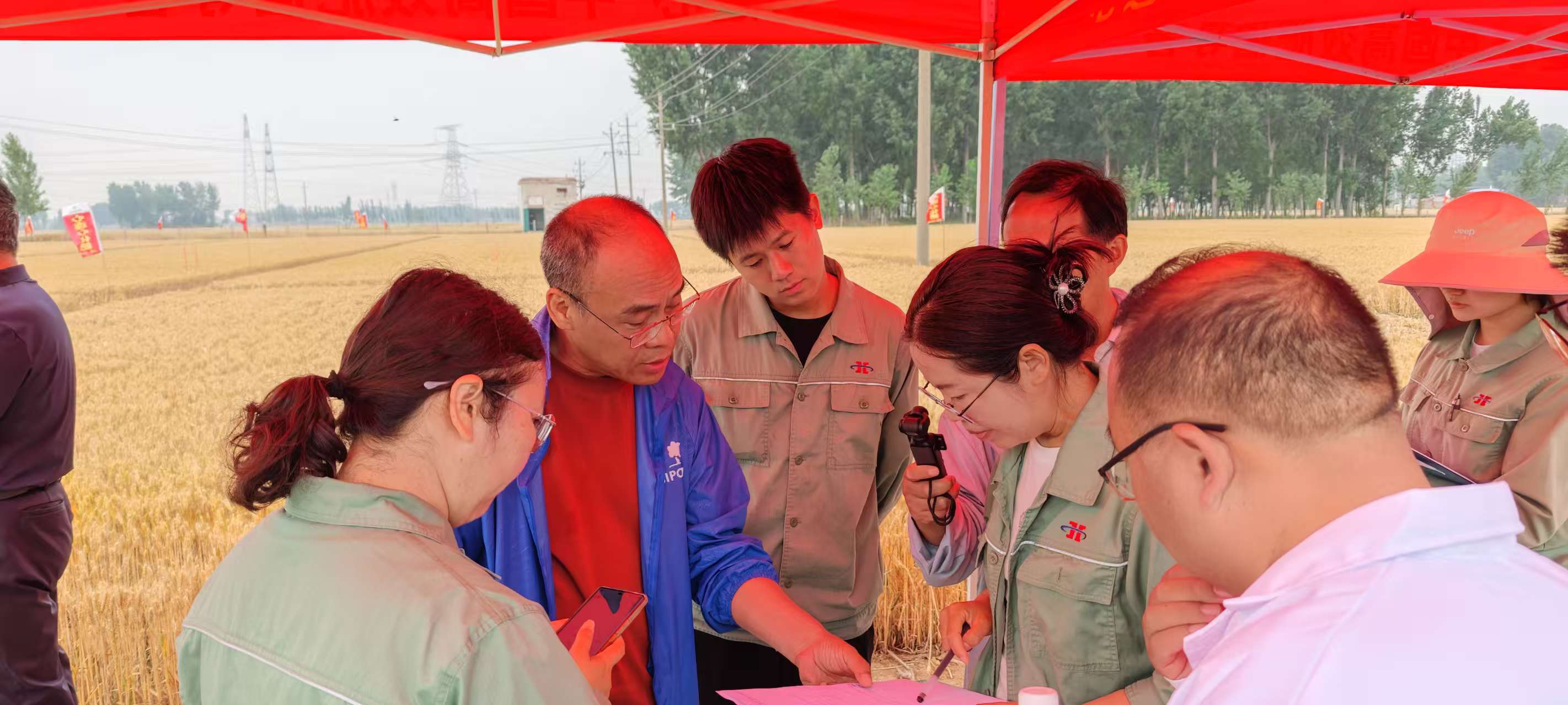高温旱情下科技赋能农业!心连心集团主持的两个“十四五”课题交出亮眼成绩单